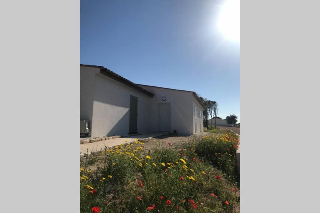Bonifacio 3Mn Du Port! Villa Piscine Chauffee ,Clim,Wifi 외부 사진